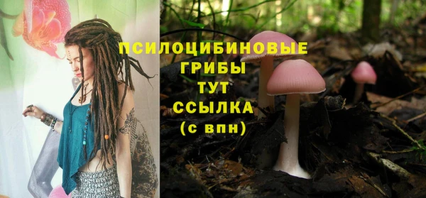 МДПВ Алзамай